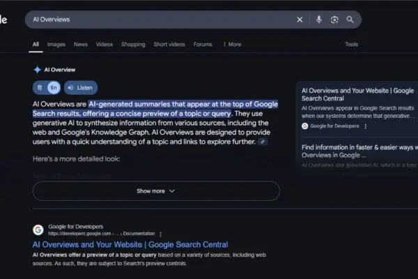 Google AI Overviews