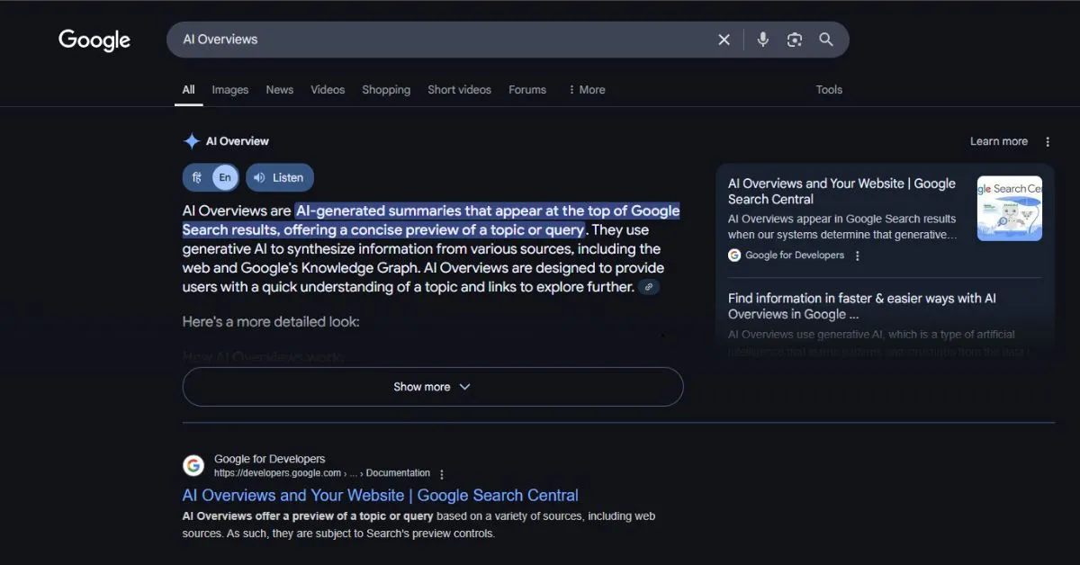 Google AI Overviews